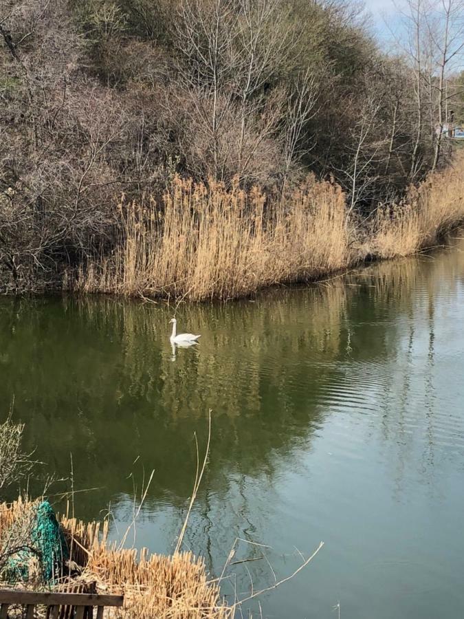 Lake Residence Dunajská Streda Εξωτερικό φωτογραφία
